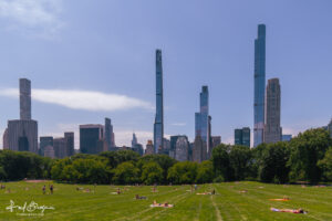 Central Park Sheep Meadow